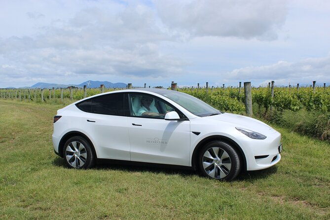 Private Martinborough Wine Tour in an Electric Vehicle - Tesla Model Y - Practical Details and Considerations
