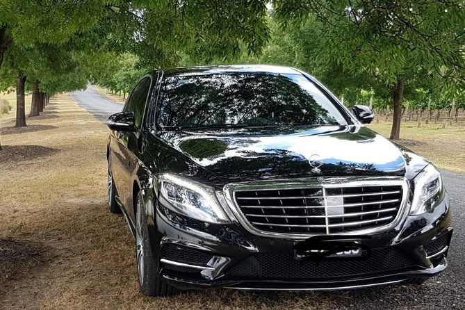 Private Melbourne CBD Sightseeing Tour  luxury vehicle - The Experience: What to Expect