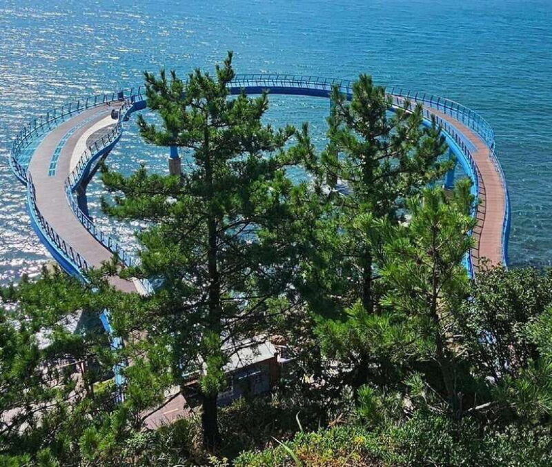 private-minibus-tour-in-busan-for-cruise-guests-8-17-people