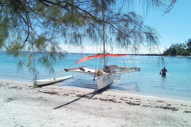 Private Moorea Discovery Half-day Sailing - In The Sum Up