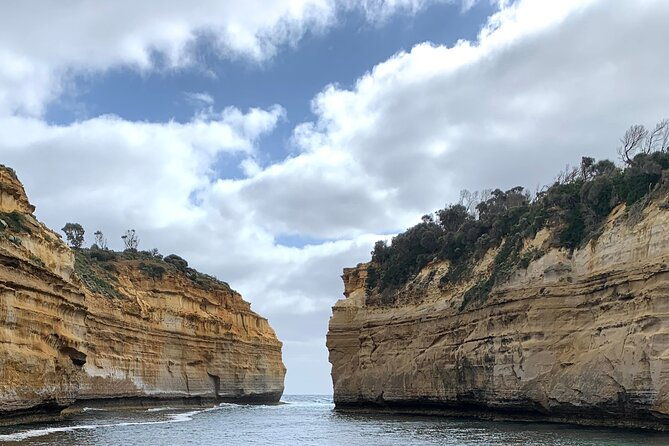 Private Small Group Tour of 2-7pax in Great Ocean Road Melbourne - What’s Included and What’s Not