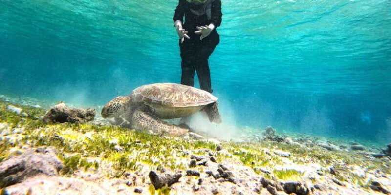private-snorkeling-gili-islands-full-day-tour