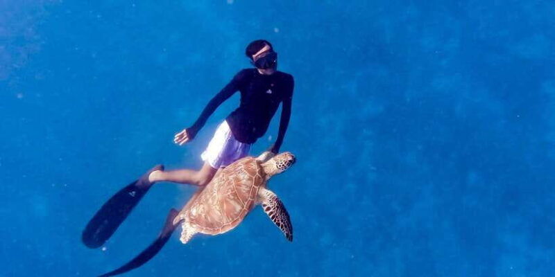 private-snorkeling-with-turtle-and-romantice-statue