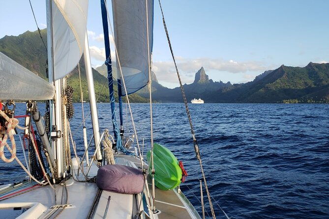 Private Sunset Sailing Excursion Sail yourself Mori Ora - The Experience of Sailing Yourself