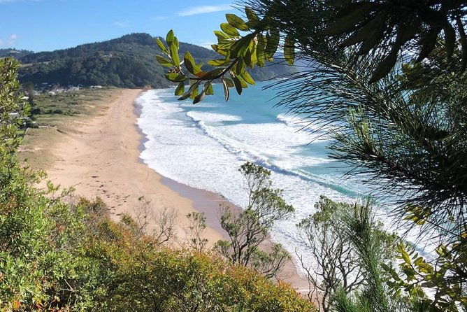 Private The Coromandel Tour - Auckland Tour House - Final Thoughts