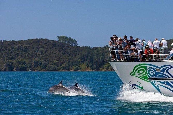 Private Tour: Bay of Islands Day Trip from Auckland - Transportation & Comfort