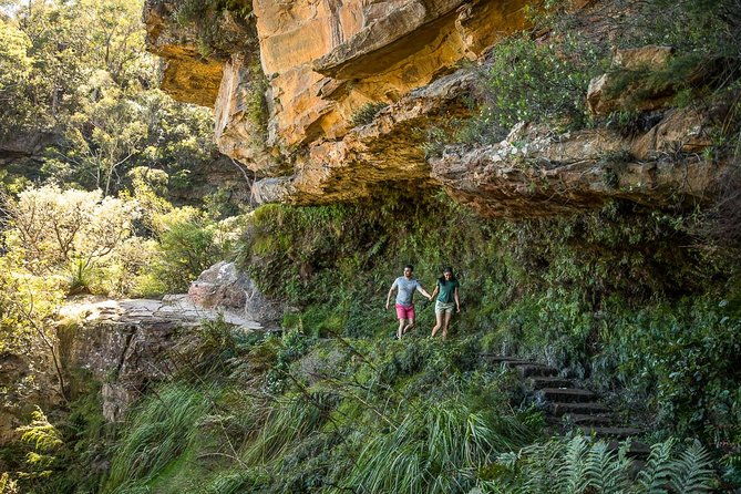 Private Tour: Blue Mountains Hiking & Nature - Final Thoughts: Who is This Tour Best For?