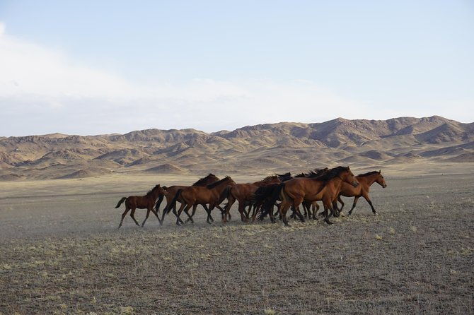 Private tour from Almaty Charyn canyon on Comfortable SUV - Final Thoughts