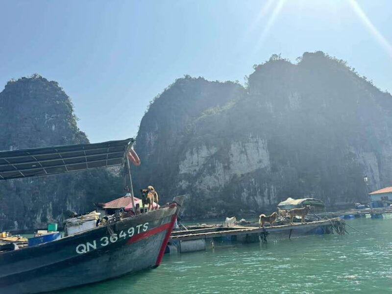 private-tour-ha-long-bay-1-day-choose-language-tour-guide