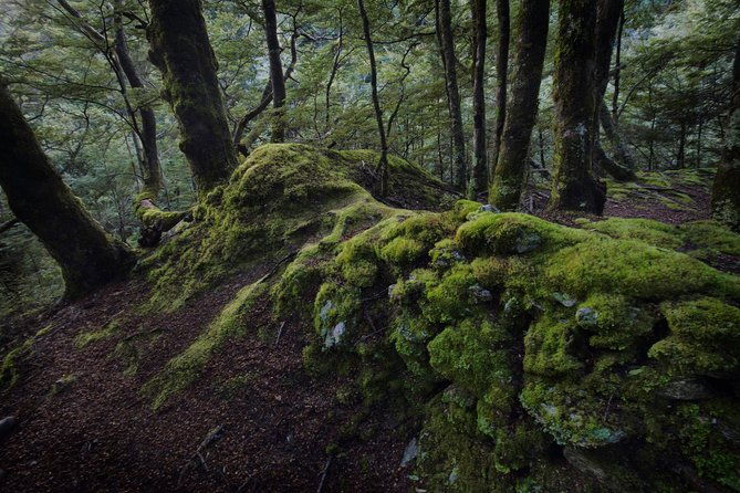 Private Tour Half Day Queenstown and Beyond Photography Tour - Who Would Love This Tour?