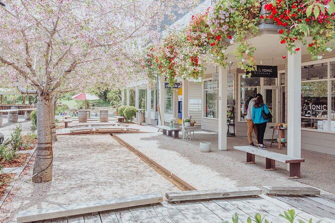 Private tour - Matakana Art & Wine Village - The Sum Up