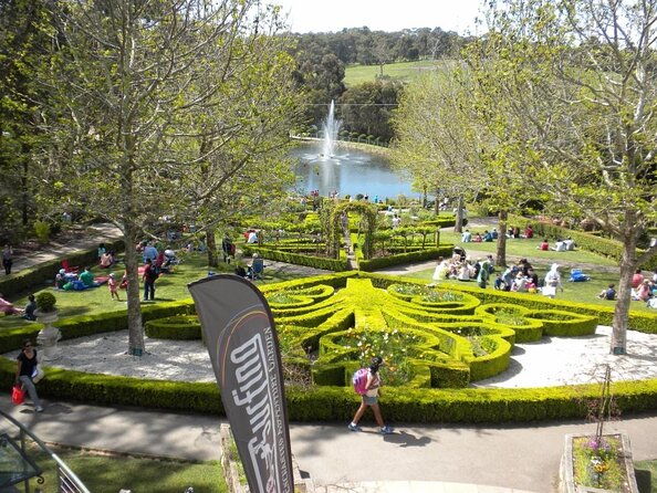 [Private Tour] Mornington Peninsula Family, Maze and Fun! - Final Thoughts
