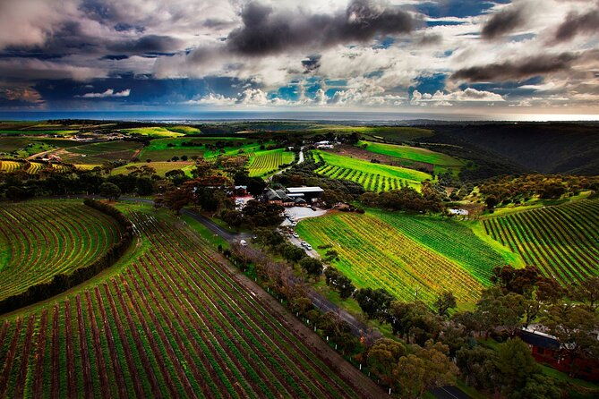 Private Tour of Rojina's Fleurieu in McLaren Vale - Who Will Love This Tour?