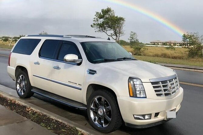 Private Transfer from Auckland Airport (AKL) to Tauranga Port - Who Is This Transfer Best For?