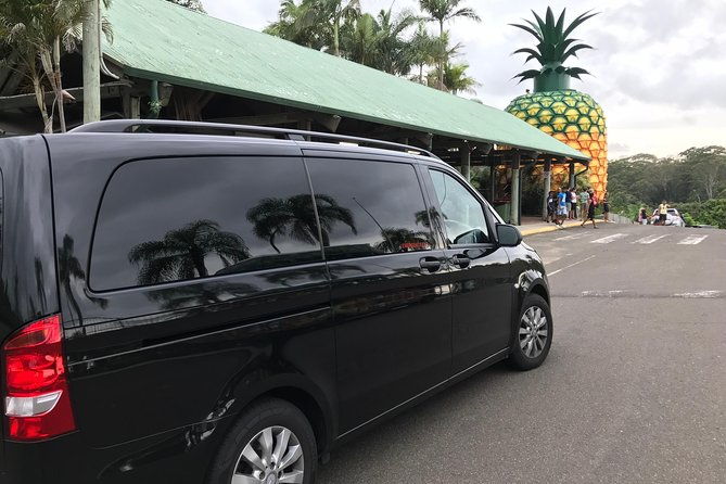 Private Transfer from Noosa to Sunshine Coast Airport 7 seater - Who Should Consider This Transfer?