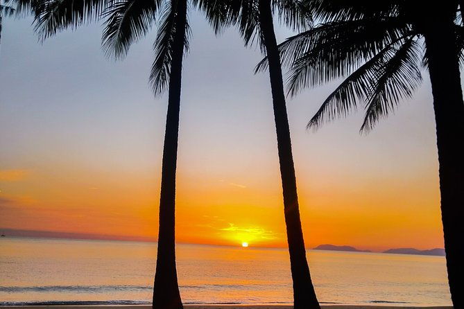 Private Transfers Cairns Airport to Port Douglas - Vehicle Options and Comfort