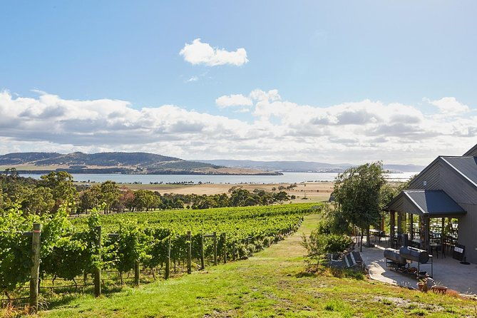 Private West Tamar Wine Tour - Practical Details and Tips