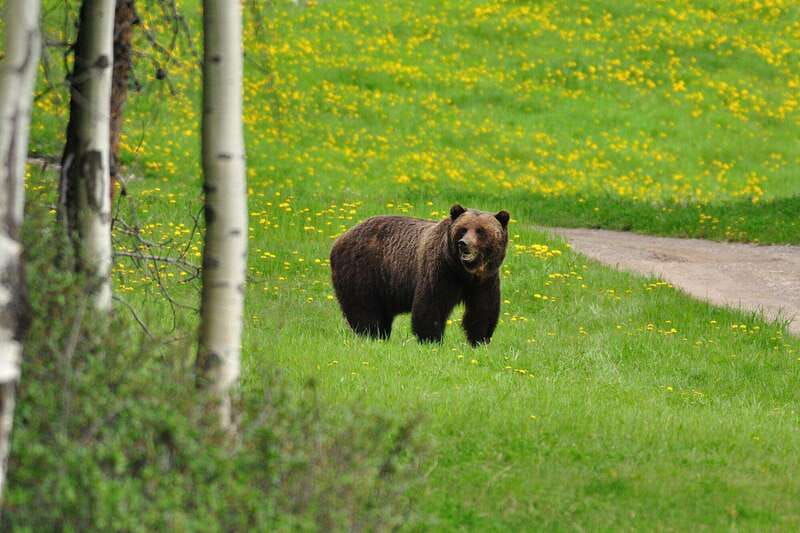private-wilderness-and-wildlife-walking-tour-2-5h
