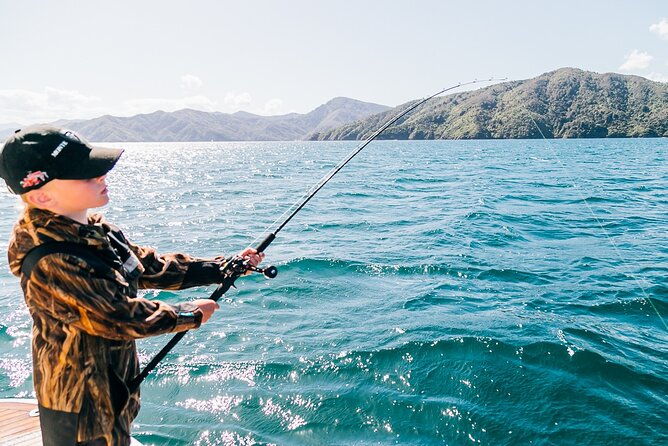 Private Yacht Cruise in the Marlborough Sounds New Zealand - The Sum Up