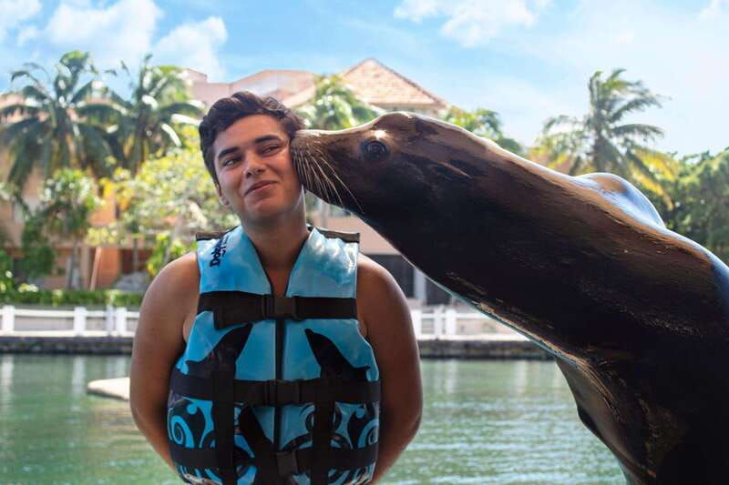 puerto-aventuras-sea-lion-discovery-ticket