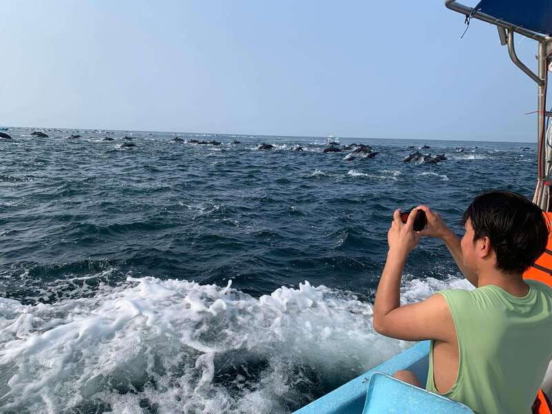 puerto-escondido-boat-tour-to-see-dolphins-and-marine-life