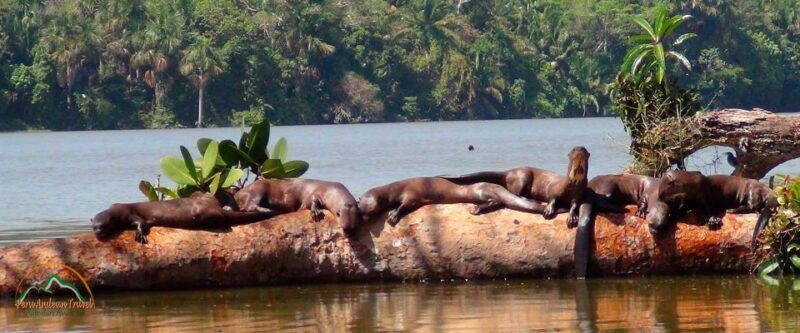 puerto-maldonado-hiking-in-the-jungle-sandoval-lake