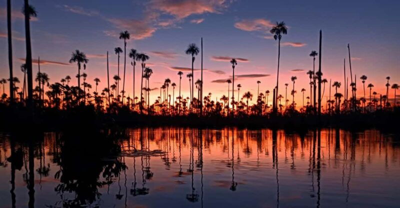 puerto-maldonado-visit-to-lake-yacumama-and-enjoy-the-sunset