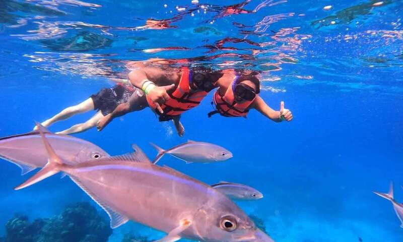 puerto-morelos-guided-snorkeling-tour-with-gear-fees