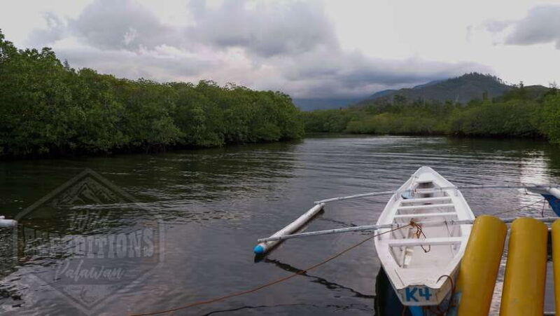 puerto-princesa-firefly-watching-paddle-boat-tour-dinner