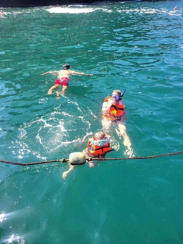 puerto-vallarta-3-hour-whale-watching-and-snorkeling
