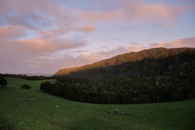 Puketi Rainforest Guided Walks .This is not a Shore Excursion product . - Final Thoughts