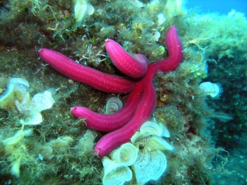 pula-bike-tour-of-ancient-pula-aquatic-adventures