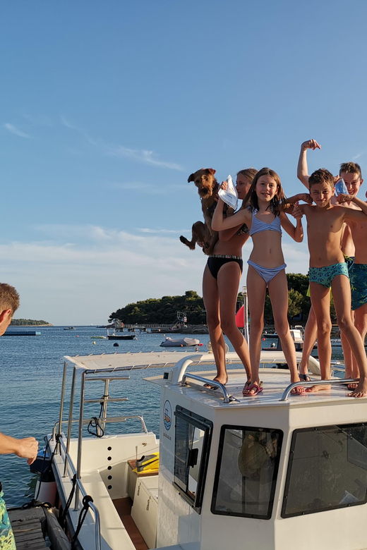 pula-dolphin-watching-boat-trip