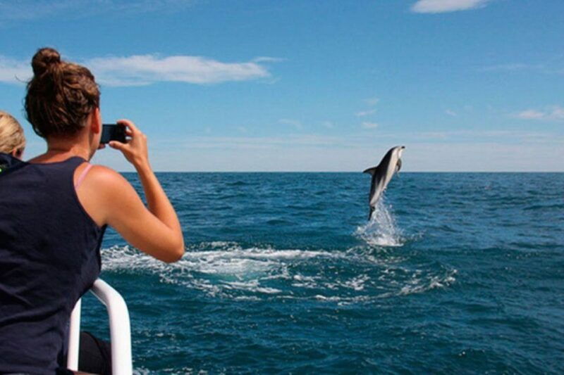 pula-national-park-brijuni-island-visit-dolphin-cruise
