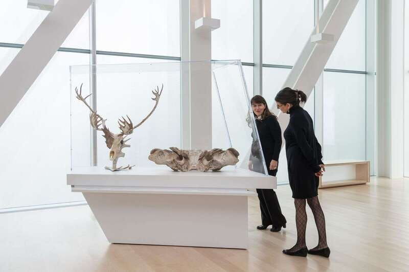 quebec-city-mnbaq-national-fine-arts-museum-entry-ticket