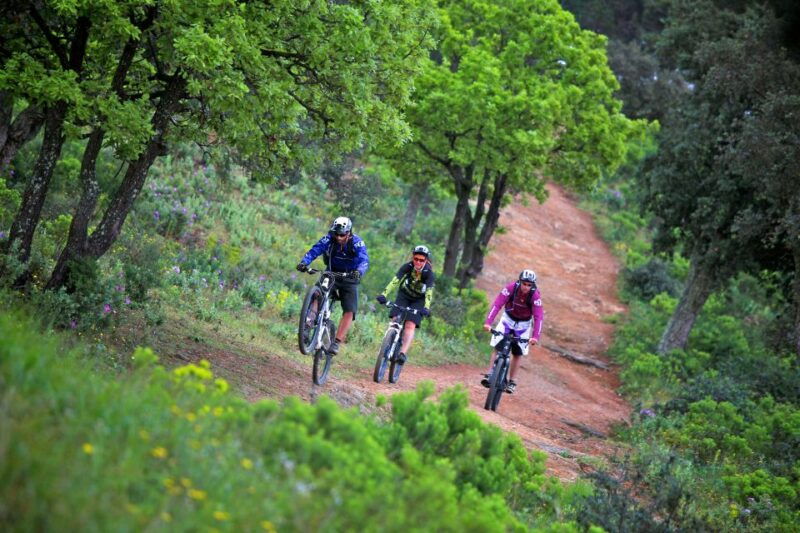 ramatuelle-tracks-tasting-winery-tour-by-mountain-e-bike