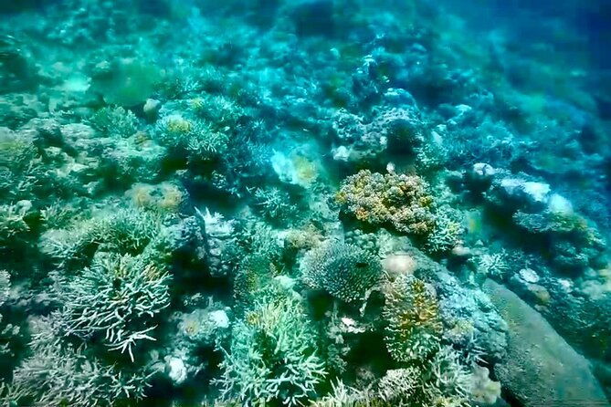 Rangko Cave & Beach Snorkeling Half Day Sharing Trip Labuan Bajo - Practical Aspects and Considerations