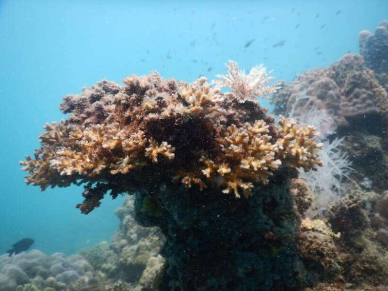 red-river-tours-luxury-professional-scuba-diving
