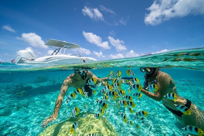 Reef Discovery Private Full Day Lagoon Tour & Motu Lunch - Who Will Love This Tour?