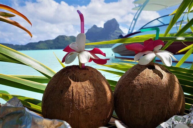 Reef Discovery Private Full Day Lagoon Tour & Water Lunch - Final Thoughts: Is This Tour for You?