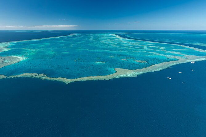 Reef & Whitehaven Spectacular - 60 Minute Helicopter Tour - Authentic Experiences and What Travelers Say