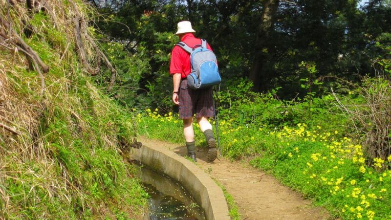 referta-castelejo-levada-walk