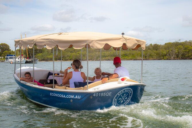 Relaxing Eco Friendly Electric Picnic Boat Cruise on the Noosa River - Who Would Love This Experience?
