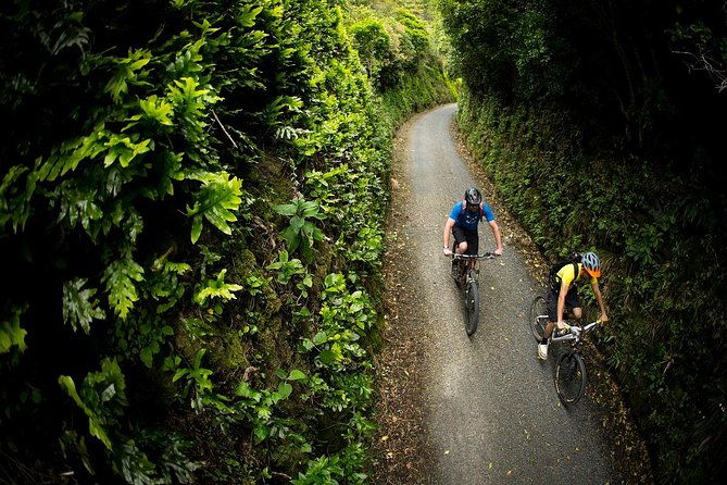 Remutaka Rail Trail Explorer - eBike Cruise Ship Shore Excursion - Final Thoughts: Is this tour worth it?