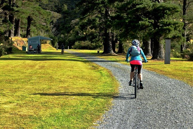 Remutaka Rail Trail Explorer - eBike Cruise Ship Shore Excursion - Whats Included & What to Consider
