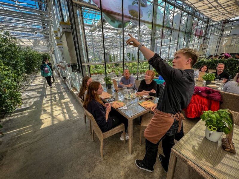 reykjavik-golden-circle-silfra-snorkeling-and-farm-lunch