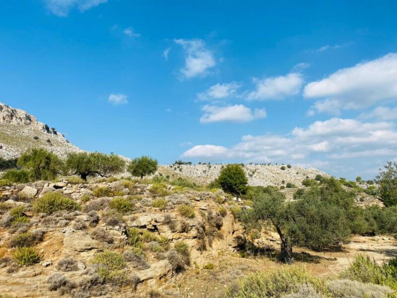 rhodes-guided-hike-to-7-springs-from-archangelos