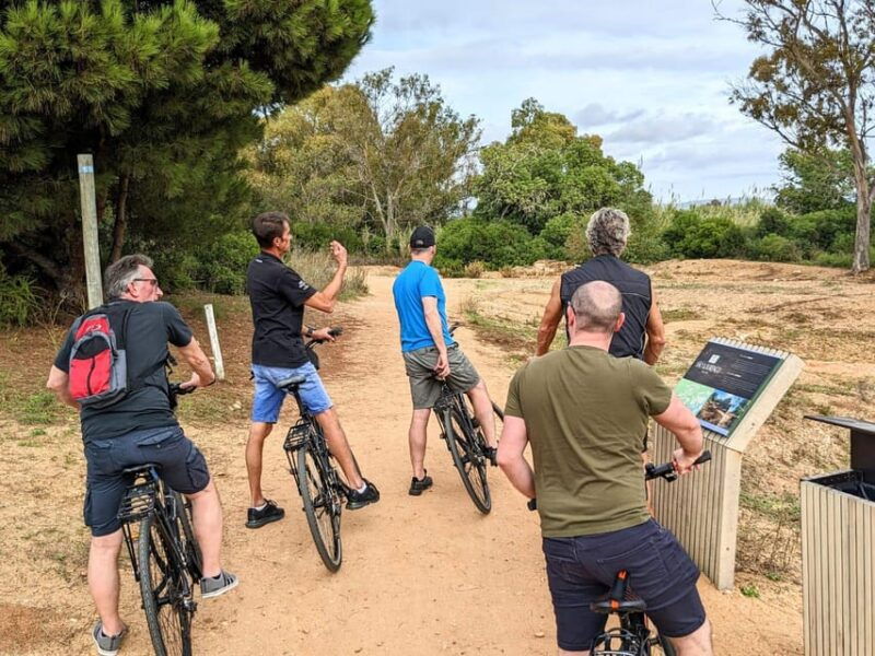 ria-formosa-guided-bike-tour-3h-starting-at-quinta-do-lago