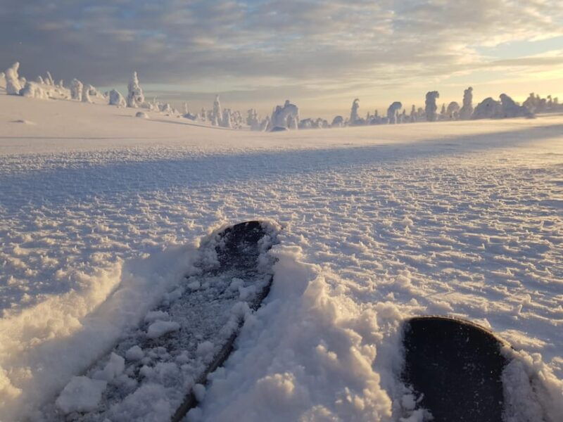 riisitunturi-national-park-snowshoe-experience-2
