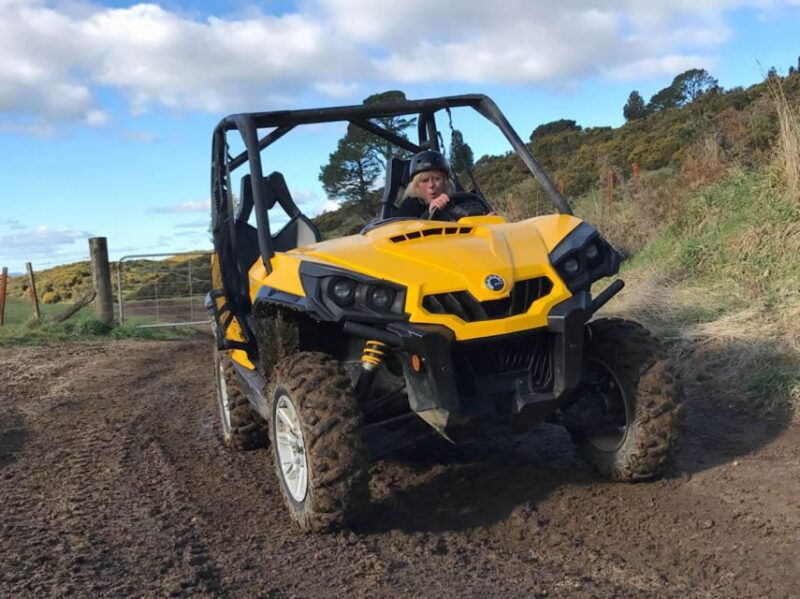 rotorua-4x4-self-drive-buggy-tour-through-farm-and-bushland
